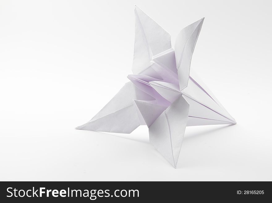 White paper origami lily isolated on white background