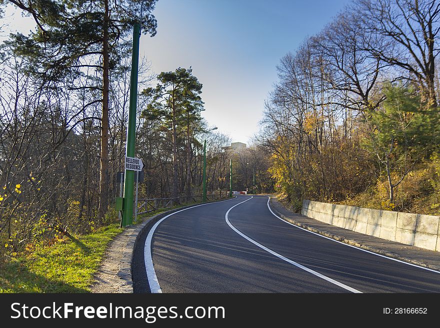 Road Through The Autumn Forest