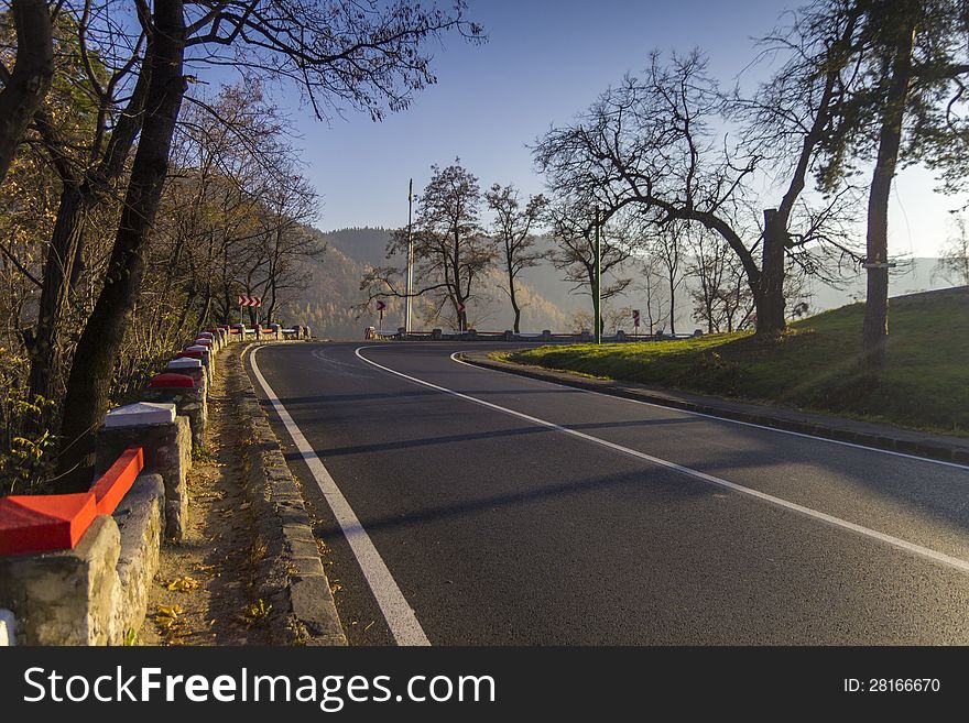 Road through the autumn forest