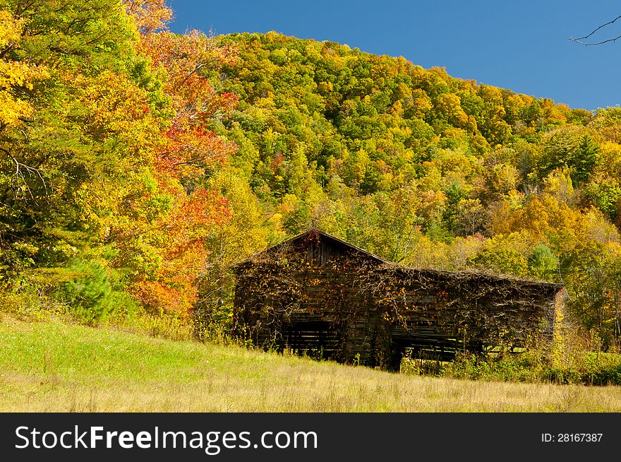 Fall colors around an old barn.