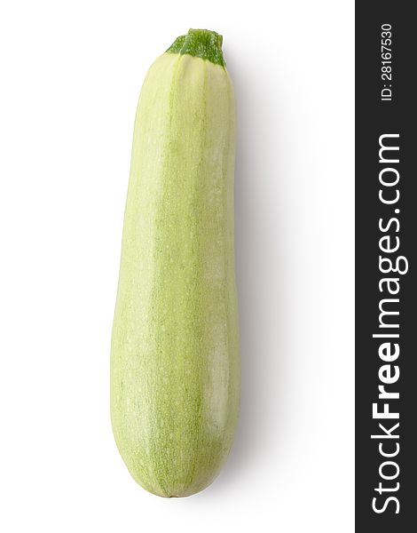 Zucchini. Topview.