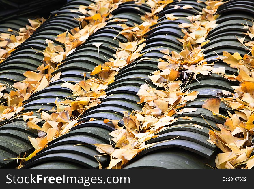 Chinese old roof tiles on the fallen leaves of Ginkgo. Chinese old roof tiles on the fallen leaves of Ginkgo