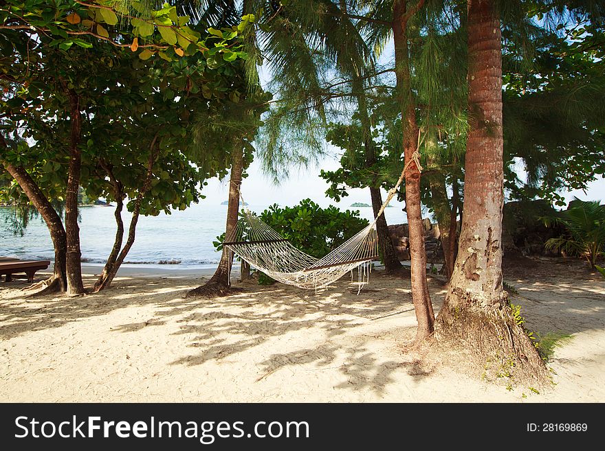 Hammock on the beach among tropical trees on the sandy beach.
