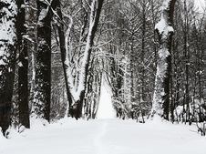 Winter Park Alley Royalty Free Stock Photography Winter Park Alley Royalty Free Stock Photography