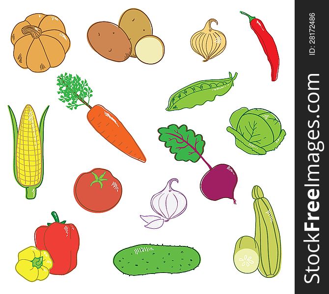 Set isolated and color vegetables