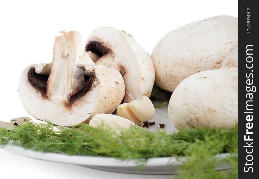 Field mushrooms vitamins for a healthy lifestyle