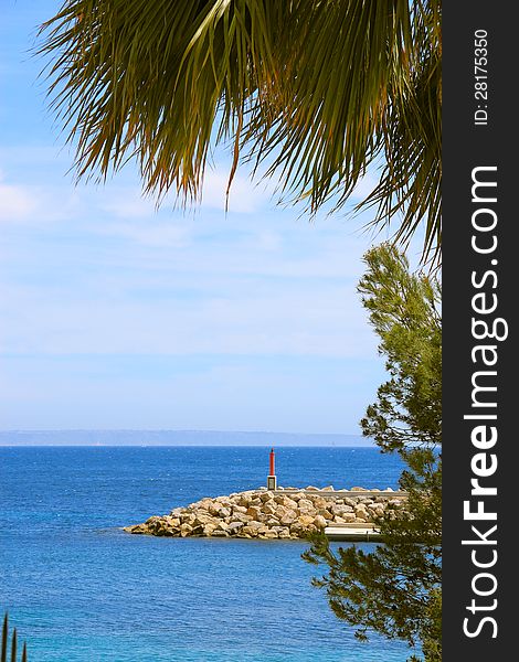 Sea view through a frame formed by palm tree and other plants, rock pier with red sign pole visible