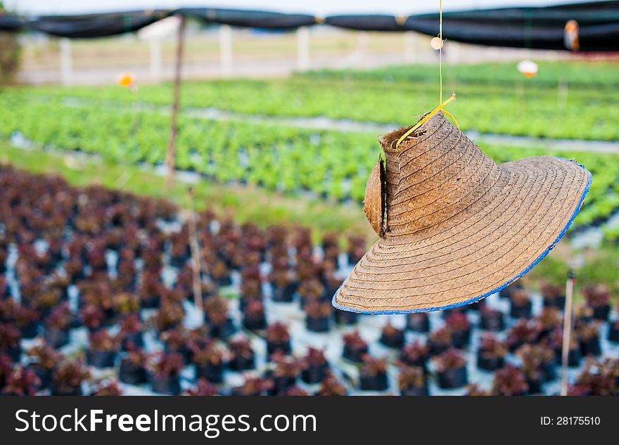 Agriculturist hat and his farm