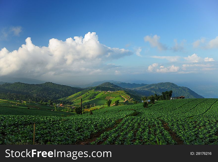 Tub-berg national park, thailand