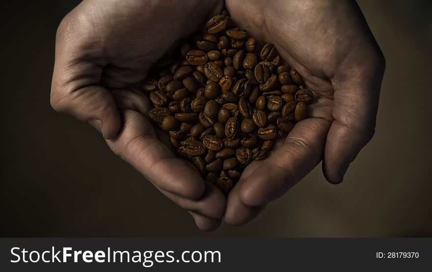 Coffe roasted grains between hands, coffe beans. Coffe roasted grains between hands, coffe beans