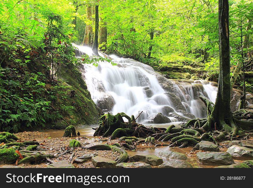 Tropical waterfall in deep forest. Tropical waterfall in deep forest