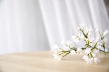 White Artificial Flowers Stock Images