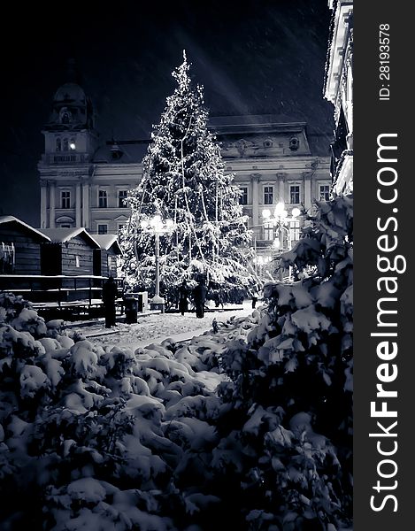 Snow covered outdoor Christmas tree with  lights