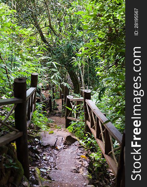 Stone stairs with wood hand rail in the forest to Tad Yueng in south Laos