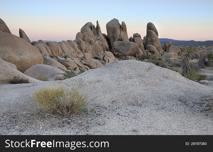 Interesting view of a Joshua Tree vista. Interesting view of a Joshua Tree vista.