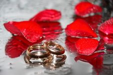 Rings Stock Photography Rings Stock Photography