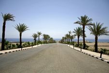 Desert Road In The Red Sea Reg Royalty Free Stock Photos Desert Road In The Red Sea Reg Royalty Free Stock Photos