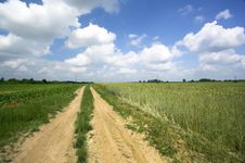 Blue Sky And Green Field Stock Images Blue Sky And Green Field Stock Images