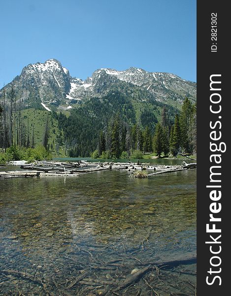 The Tetons mountain range seen across from a shallow but clear body of water. The Tetons mountain range seen across from a shallow but clear body of water.