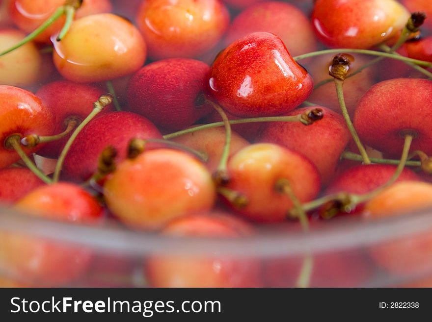 Red delicious cherries in water