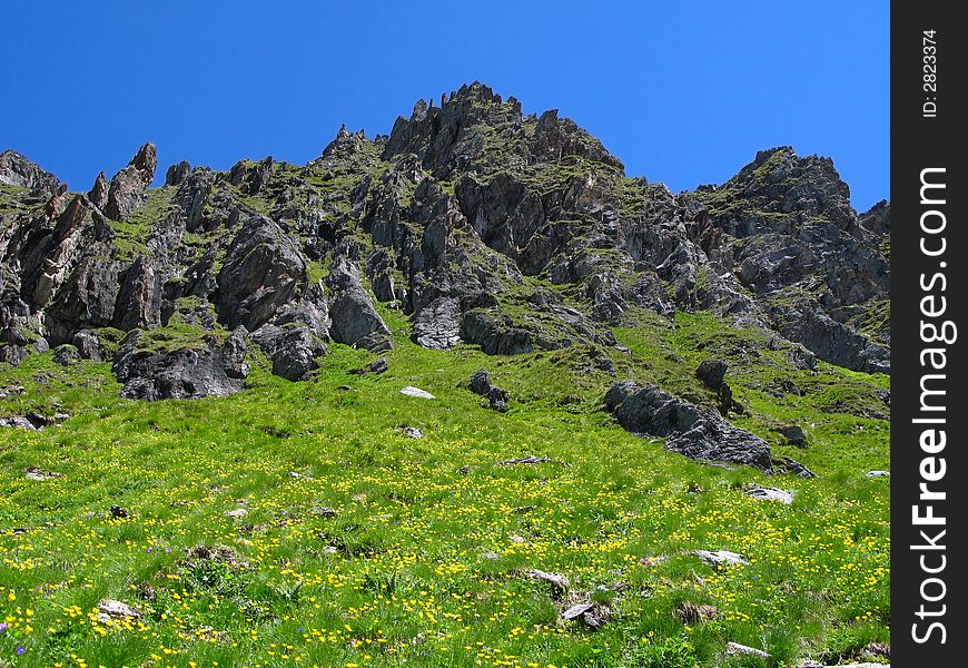 High altitude (approximative 2600m) meadow around some sharp cliffs against some deep blue clear sky. Colorful, small yellow flowers as long as you can stretch your eyes spread inside the bright green. Landscape in Swiss Alps around Avouillons Pass. High altitude (approximative 2600m) meadow around some sharp cliffs against some deep blue clear sky. Colorful, small yellow flowers as long as you can stretch your eyes spread inside the bright green. Landscape in Swiss Alps around Avouillons Pass.