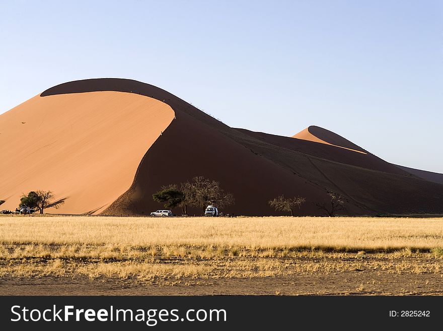 Desert sand dune in namibia africa