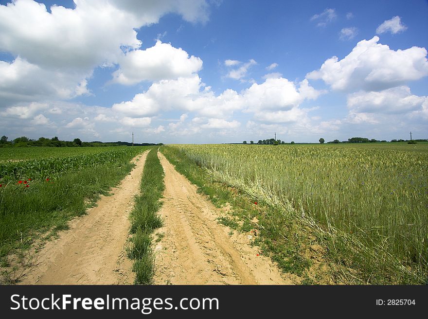 Road with blue sky and green field