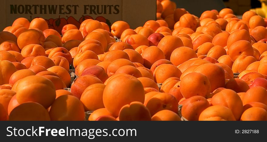 Closeup of apricots at a farmer's market in Kirkland, Washington. Closeup of apricots at a farmer's market in Kirkland, Washington