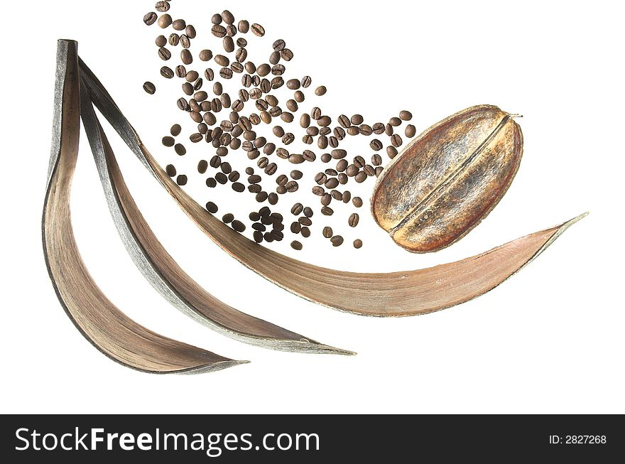 Coffee laying on dry leaves on a white background. Coffee laying on dry leaves on a white background