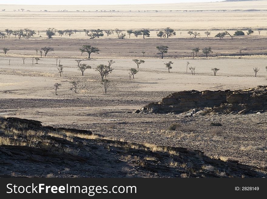 Beautiful desert landscape with some trees and rocks