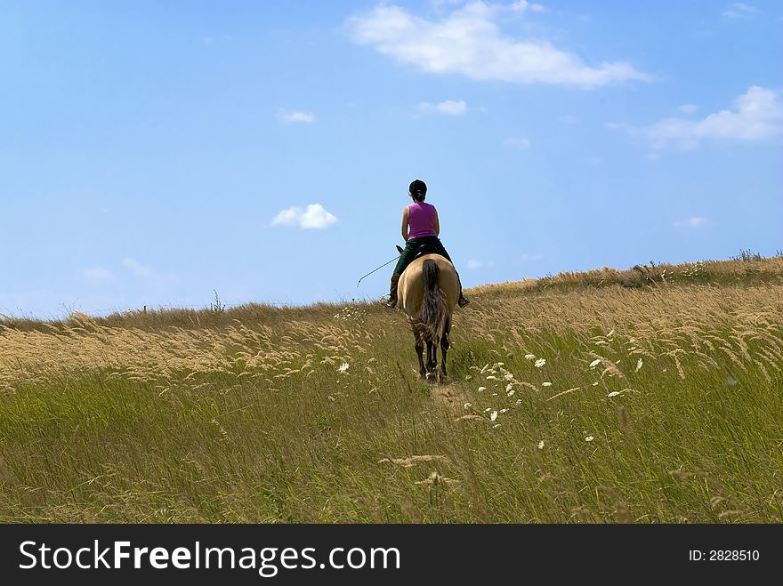 Woman riding in a meadow. Blue sky as background. Woman riding in a meadow. Blue sky as background.