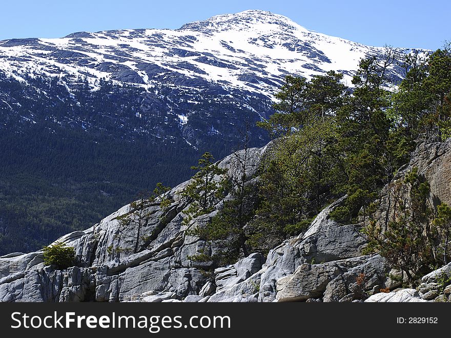 Trees are growing straight on rocks in Yakutania Point park (Skagway, Alaska). Trees are growing straight on rocks in Yakutania Point park (Skagway, Alaska).