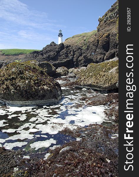 Lighthouse with blue sky, rocks and tide pools, vertical. Lighthouse with blue sky, rocks and tide pools, vertical.