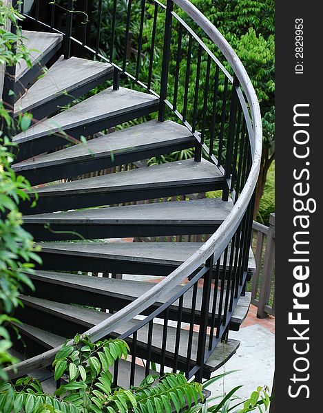 Curved wooden stair case in the parks