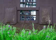 Wooden Garden Window Royalty Free Stock Photography Wooden Garden Window Royalty Free Stock Photography