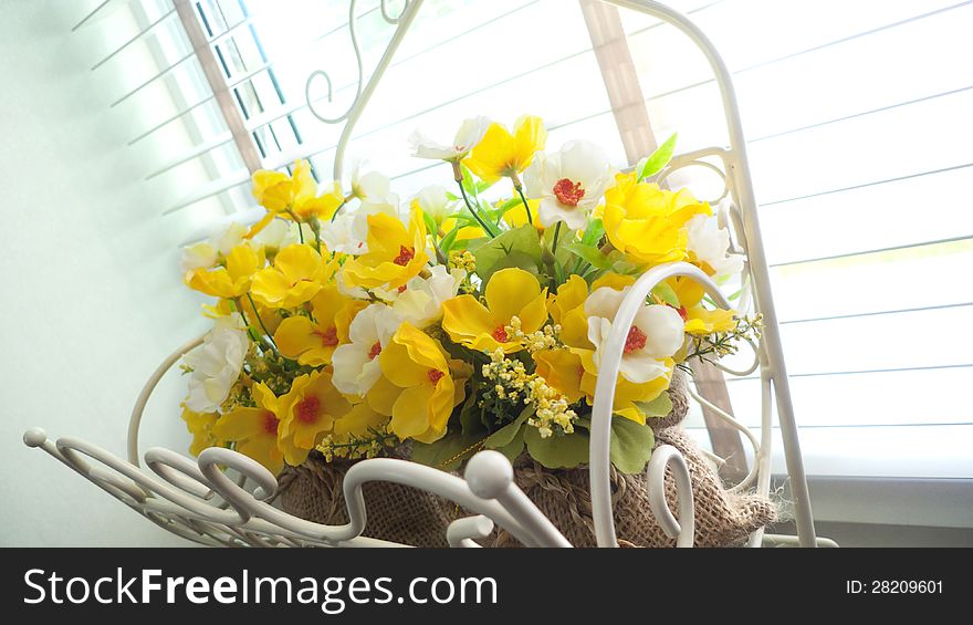 Beautiful  yellow flower on  white  background