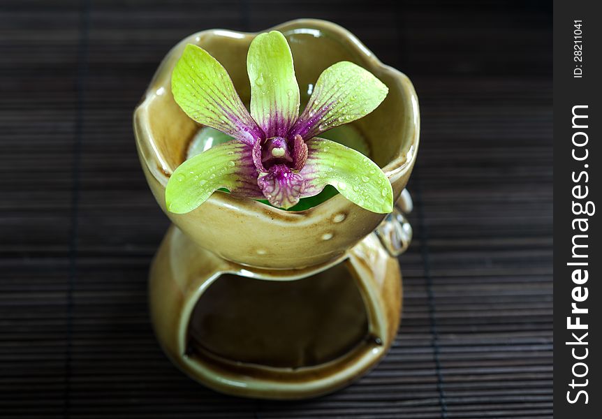 Green Orchid On Aroma Oil Container