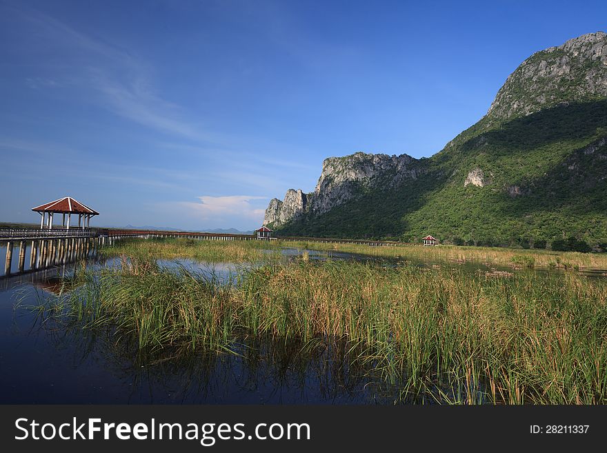 Wooden Bridge On The Lake In National Park