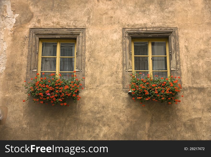 Close up of two windows with flowerpots