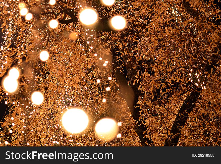 Sparkly Bulbs In A Tree