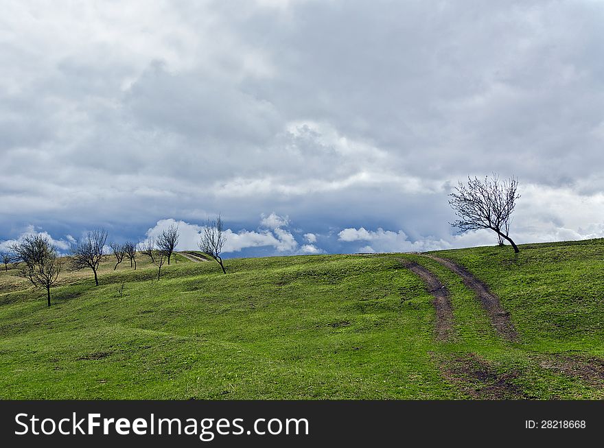 Green hill with naked trees in a cloudy day