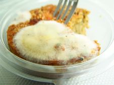 Free Fungus On Food Royalty Free Stock Images - 28229409