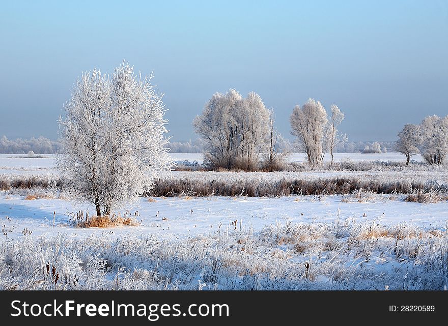 Sunrise in winter