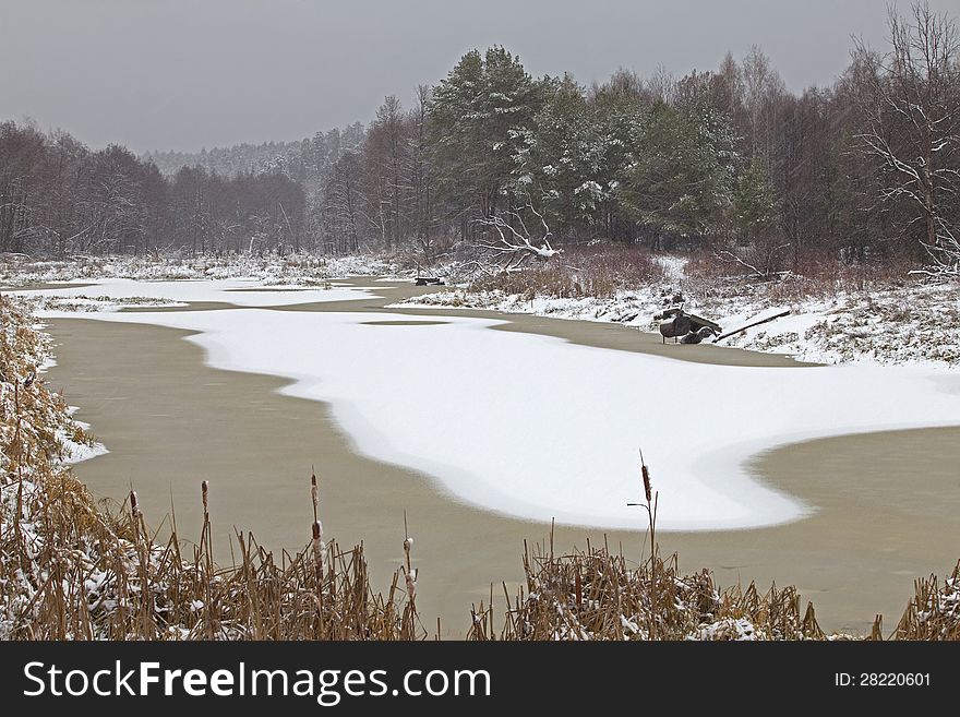 Late autumn snowstorm in the forest