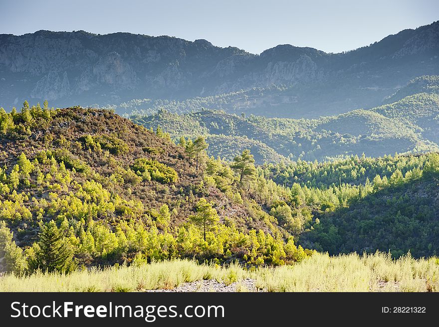 Green Hills of mountains in the background.