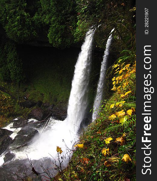 Twin Waterfall cascading over mossy rocks. Captured in Autumn beauty with golden leaves and ferns. Twin Waterfall cascading over mossy rocks. Captured in Autumn beauty with golden leaves and ferns.