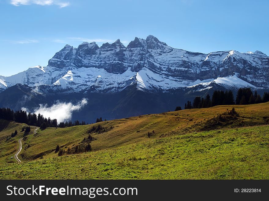 Green alpine meadows on the background of the Swiss Alps