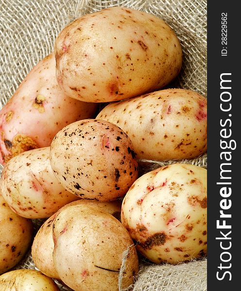 Raw Potato Straight from Garden closeup on Sacking background