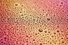 Water Droplets Are Colorful Stock Image Water Droplets Are Colorful Stock Image