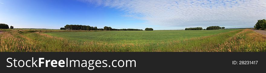 Summer panorama of green field and blue sky.